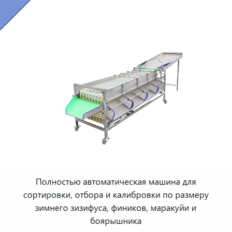 Полностью автоматическая машина для сортировки, отбора и калибровки по размеру зимнего зизифуса, фиников, маракуйи и боярышника
