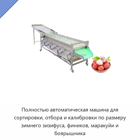 Полностью автоматическая машина для сортировки, отбора и калибровки по размеру зимнего зизифуса, фиников, маракуйи и боярышника