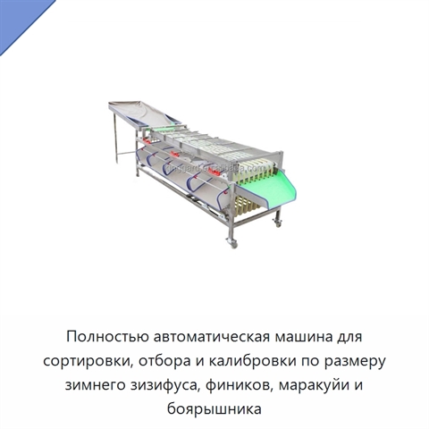 Полностью автоматическая машина для сортировки, отбора и калибровки по размеру зимнего зизифуса, фиников, маракуйи и боярышника