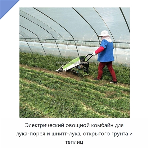 Электрический овощной комбайн для лука-порея и шнитт-лука, открытого грунта и теплиц